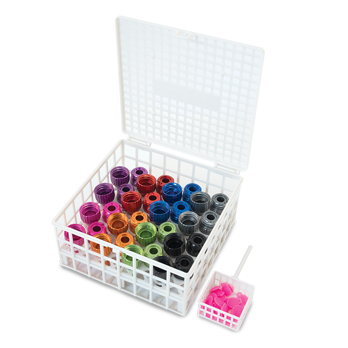 maxchek Basket