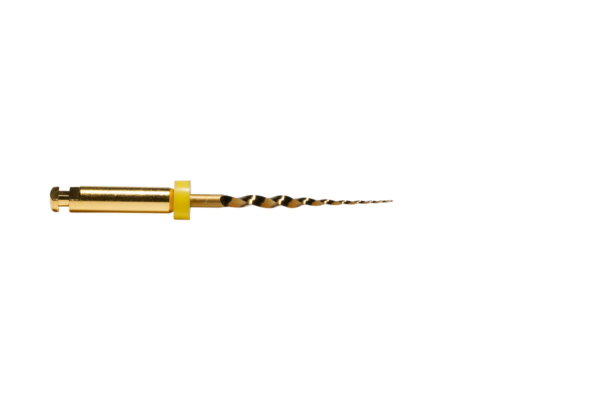 ProTaper Gold SX shaping file, 19 mm