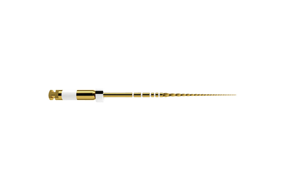 WaveOne Gold Glider file, 31 mm