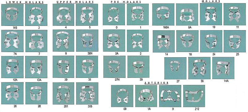 Rubber dam clamp chart