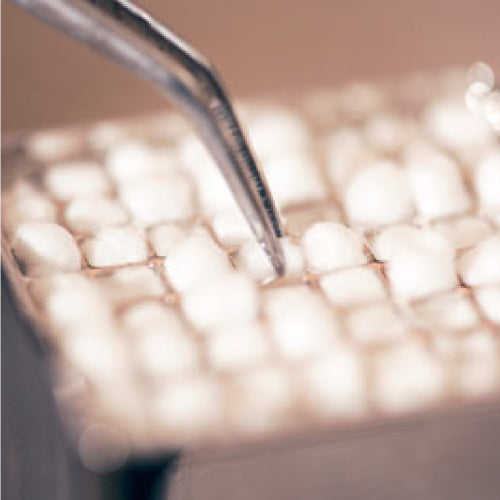 Cotton pellets being picked up with tweezers
