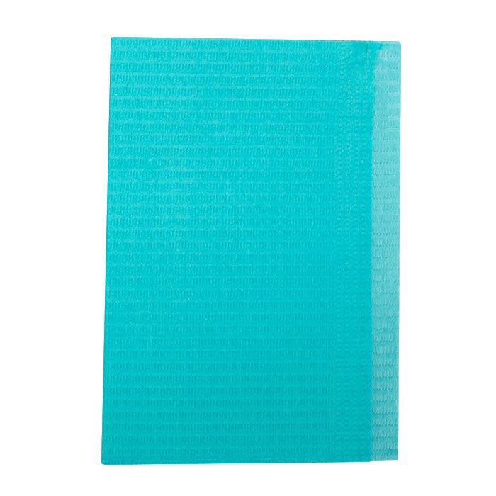 Packard Healthcare Disposable Patient Bibs, 500 per box - Aqua